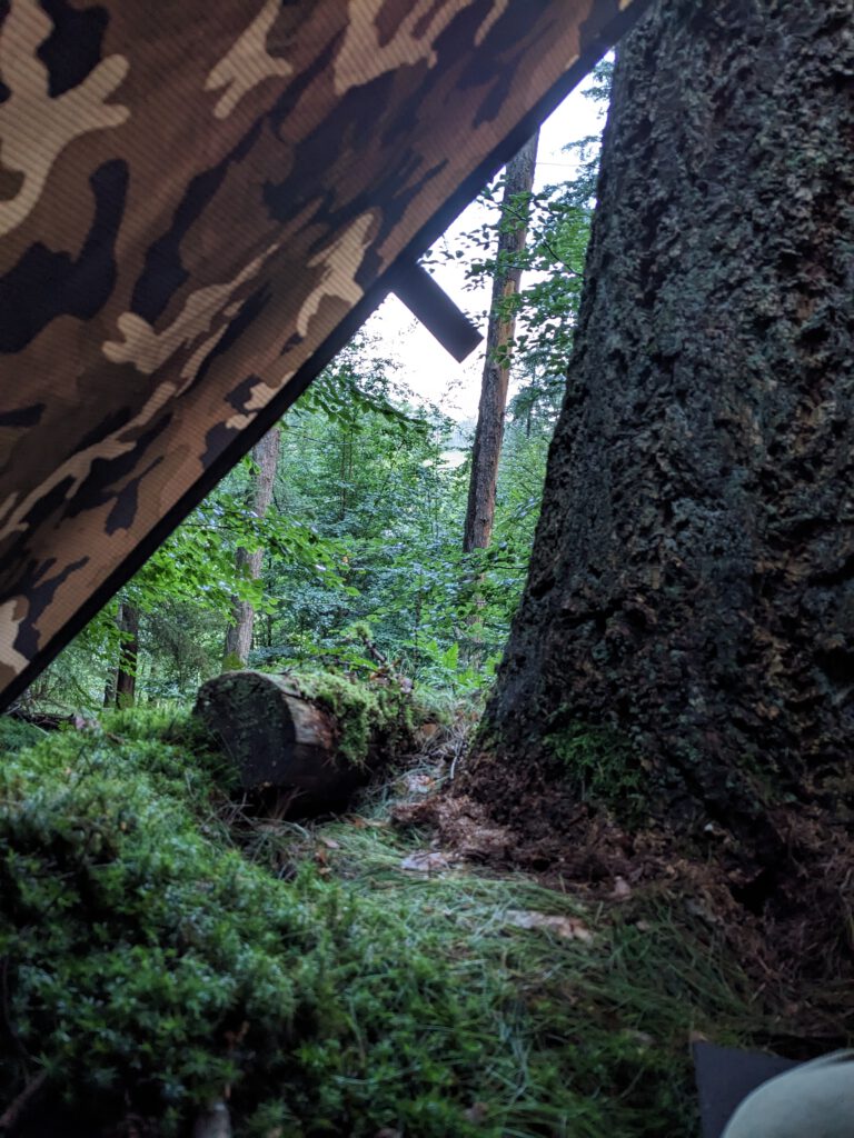 Zwischen Einsamkeit und Naturverbundenheit: Mein Wochenende im Wald